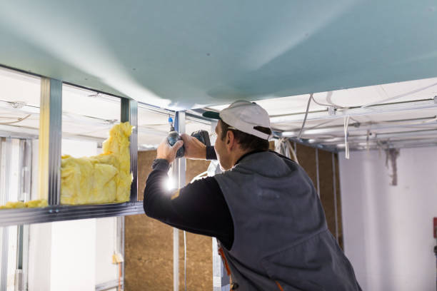 Best Residential Insulation in Lake Hamilton, FL