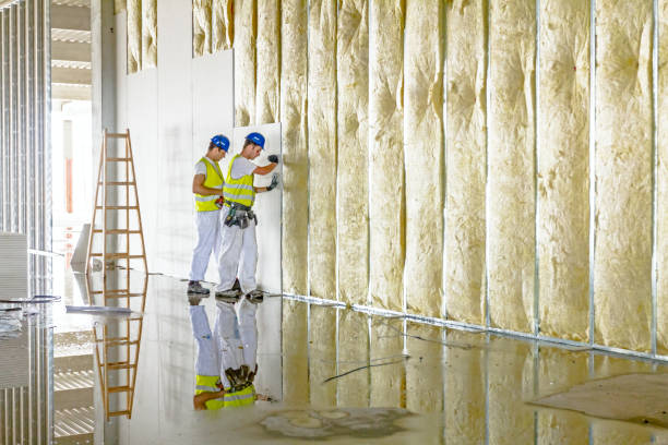 Best Types of Insulation in Lake Hamilton, FL